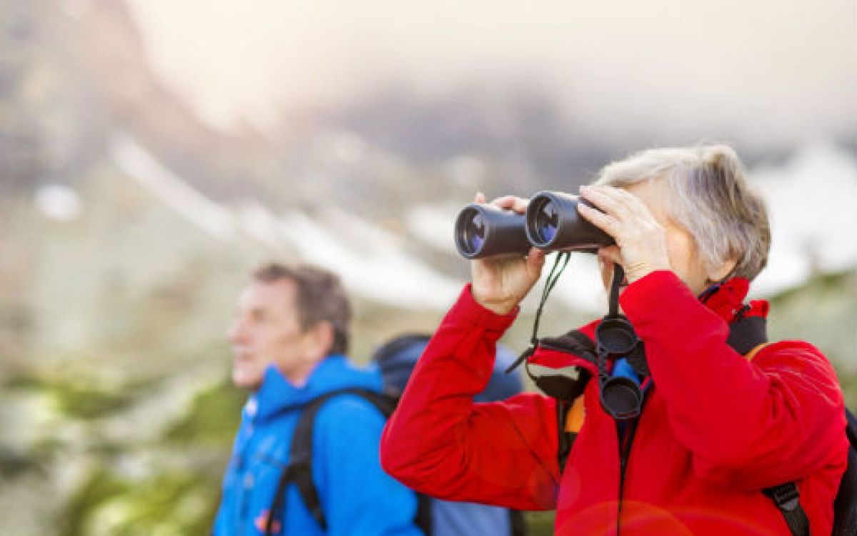 Les grandes lignes de la réforme des retraites