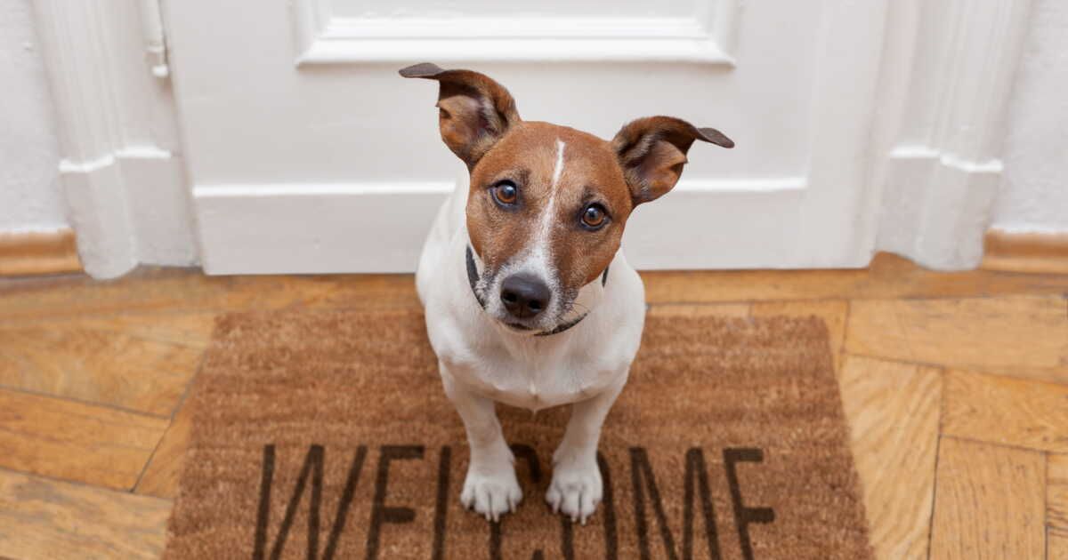 Les étapes pour un paillasson toujours propre