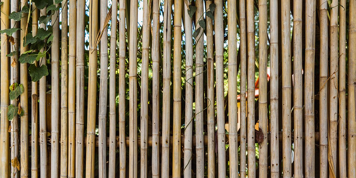 Installation d'un brise-vue : les réglementations à respecter