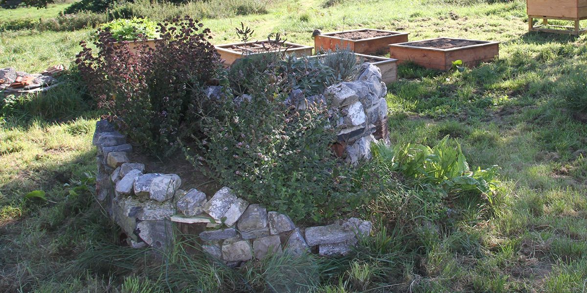 Découvrez la spirale aromatique : l'art de cultiver et d'embellir votre jardin