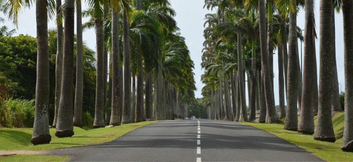 Sainte-Anne : un tragique accident de la route fait 19 blessés, dont des enfants