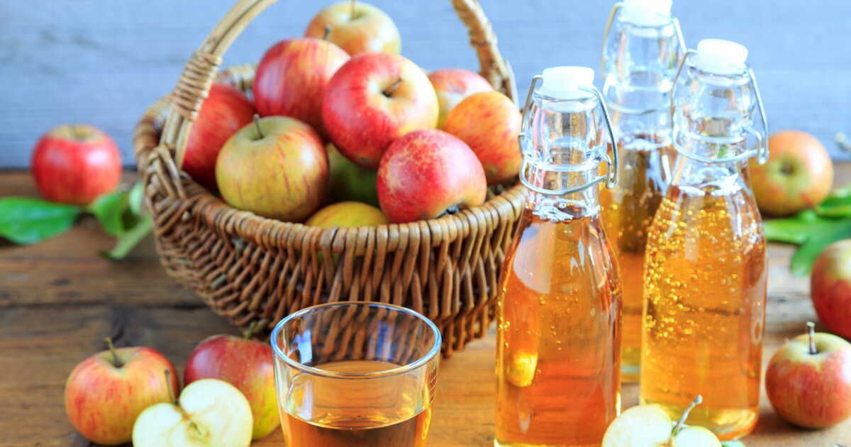 Fabriquez votre cidre maison : un savoureux plaisir à portée de main