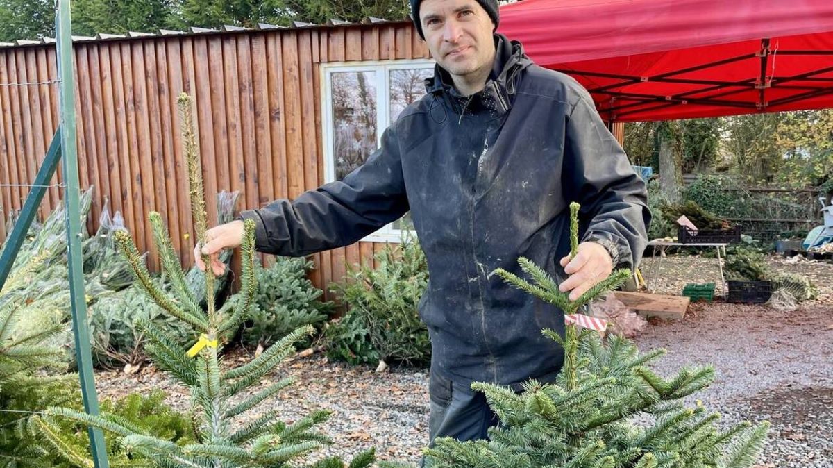 Sapins de Noël : Une vente exceptionnelle près de Rennes