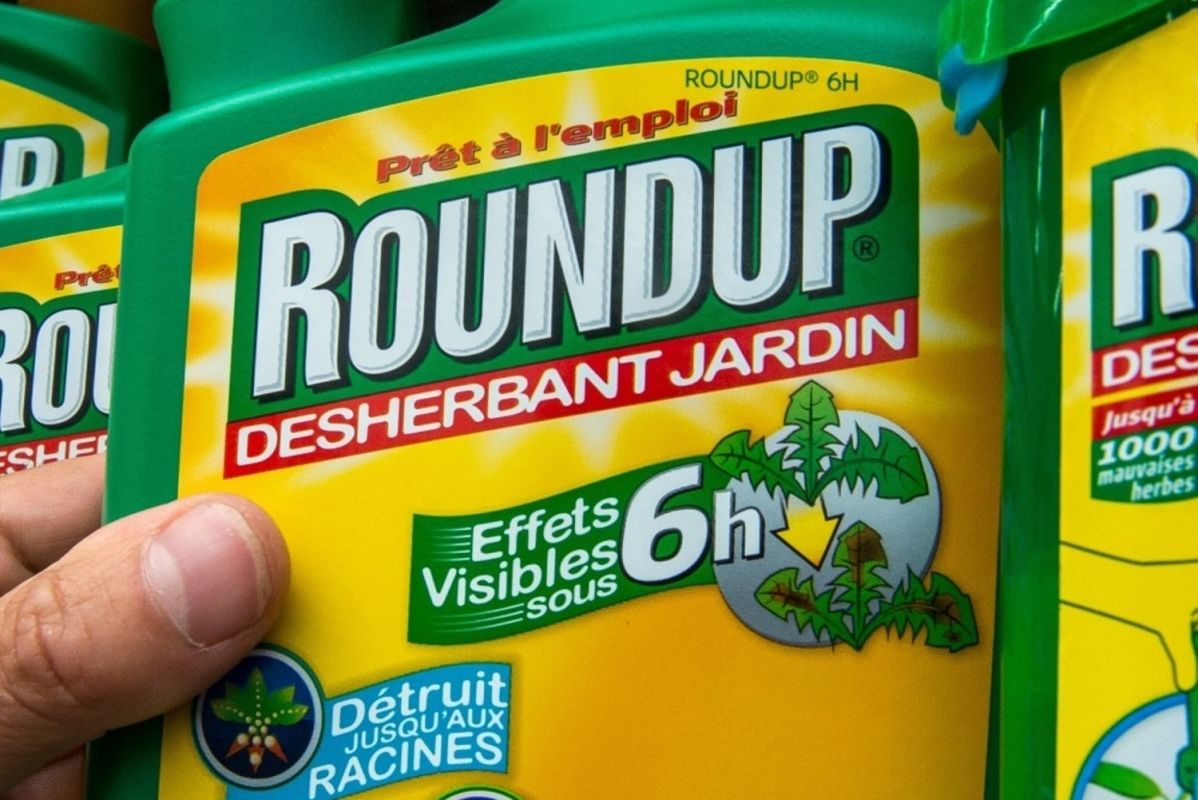 Glyphosate : l'étude controversée retirée, révélations sur les conflits d'intérêts