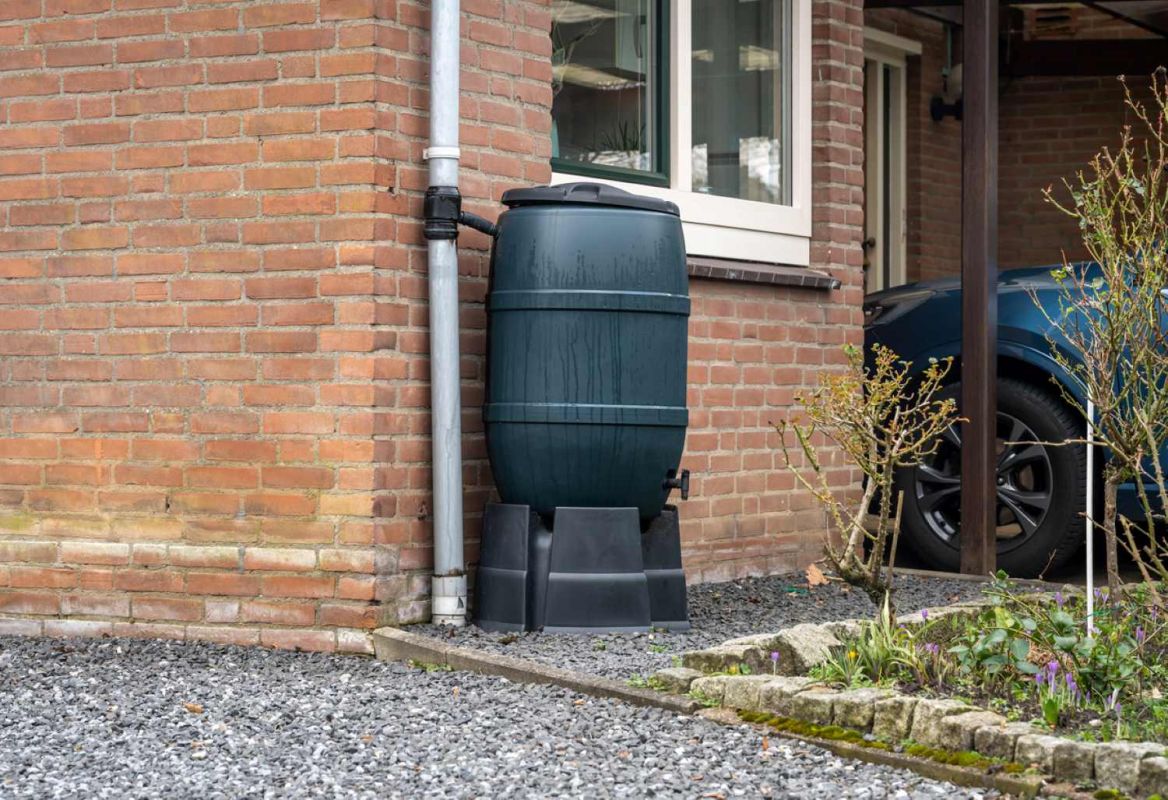 Découvrez comment obtenir un récupérateur d'eau de pluie gratuitement