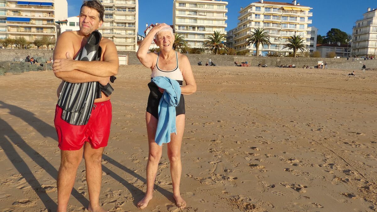 Un hiver surprise : le printemps s'invite à Saint-Jean-de-Luz