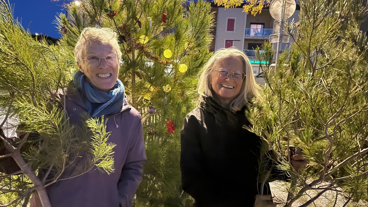 À Leucate, des pins de Noël issus de l'entretien écologique offerts aux habitants