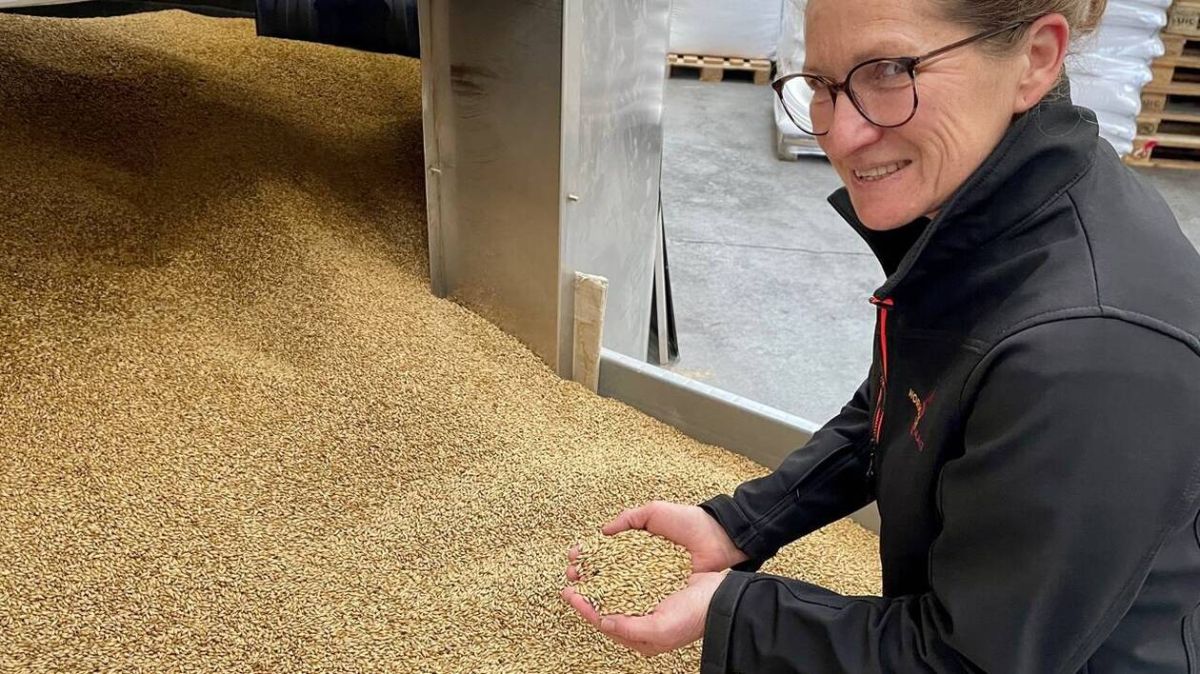 Le malt normand : un trésor caché pour les brasseries de Bayeux