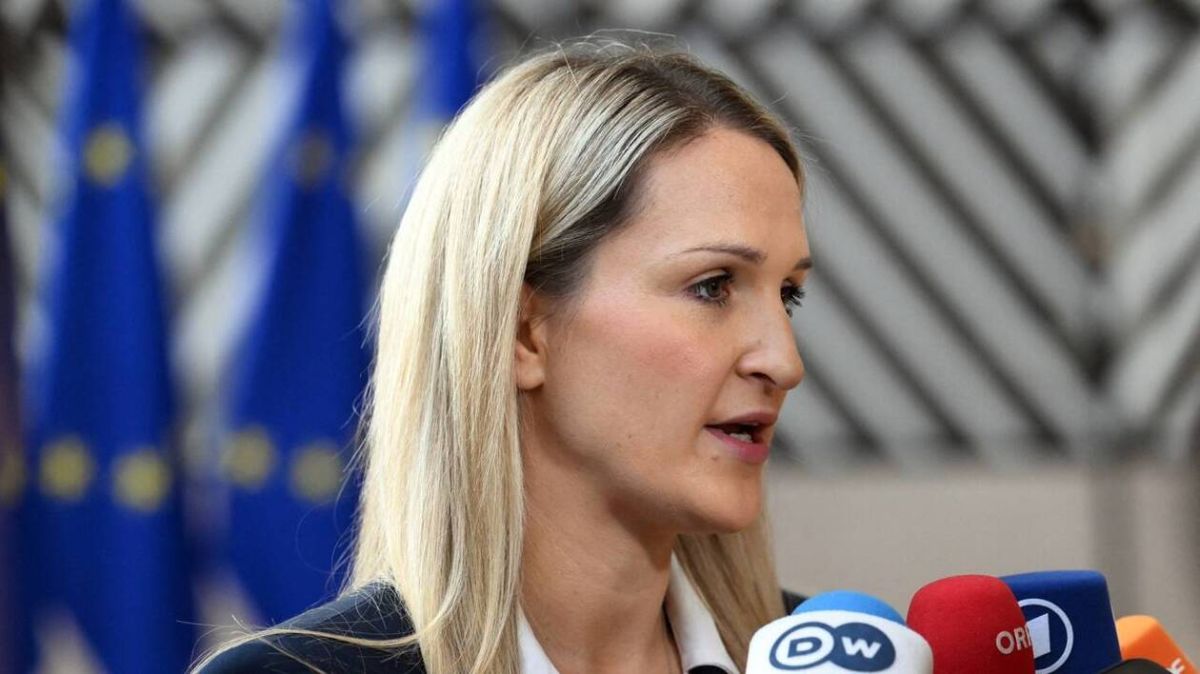 L'Irlande se lance dans une modernisation militaire ambitieuse