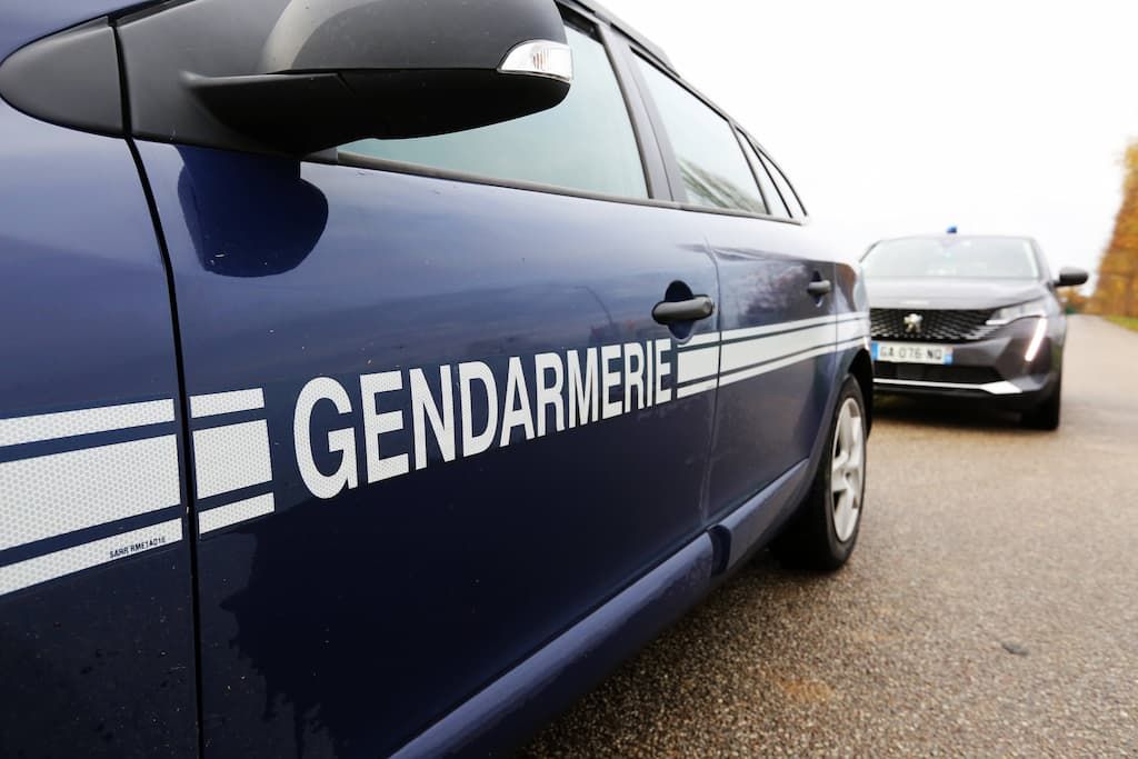 Clash à Bordes-sur-Arize : des manifestants affrontent les gendarmes pour sauver des bovins