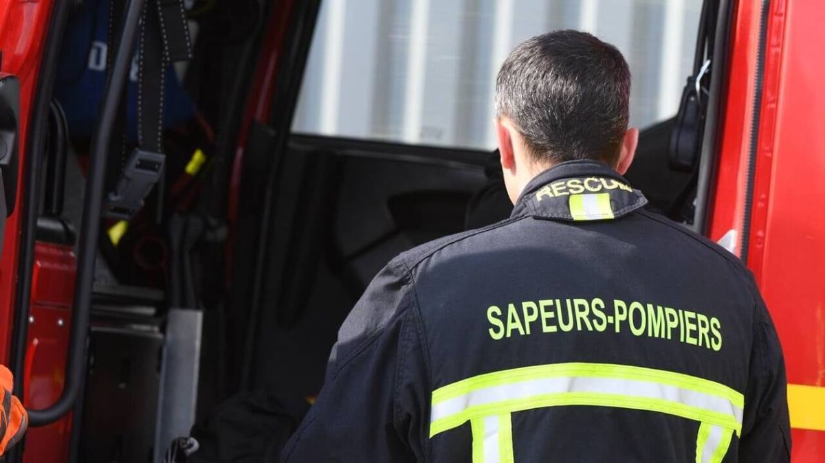 Un sauvetage inattendu : un chien tombe dans un conduit d'aération