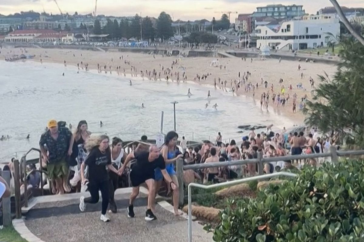 Tragédie à Bondi : une fusillade lors de la célébration de Hanouka