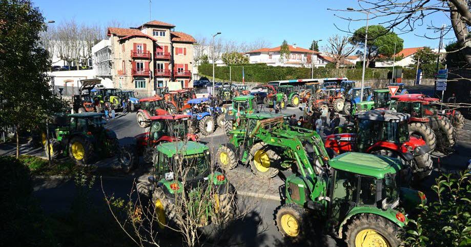 Agriculture : une union inattendue face à la dermatose