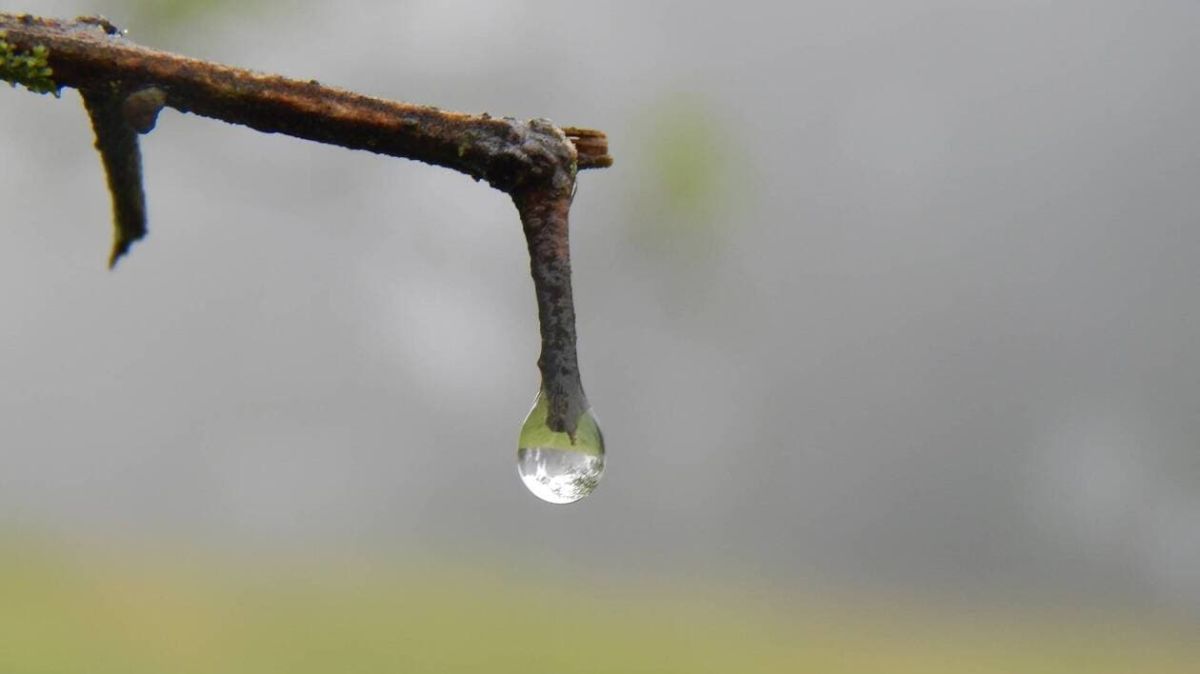 Nouméa sous la bruine : un mardi frais et nuageux