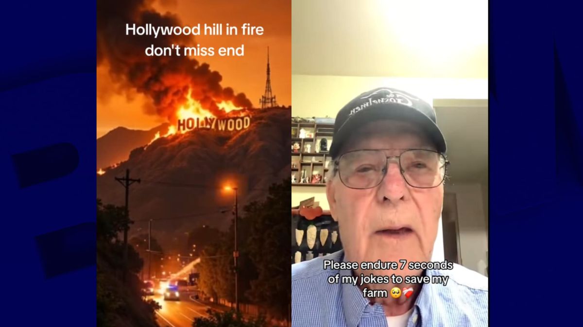 Le phénomène du slop : une invasion inquiétante de contenus parasites sur les réseaux sociaux