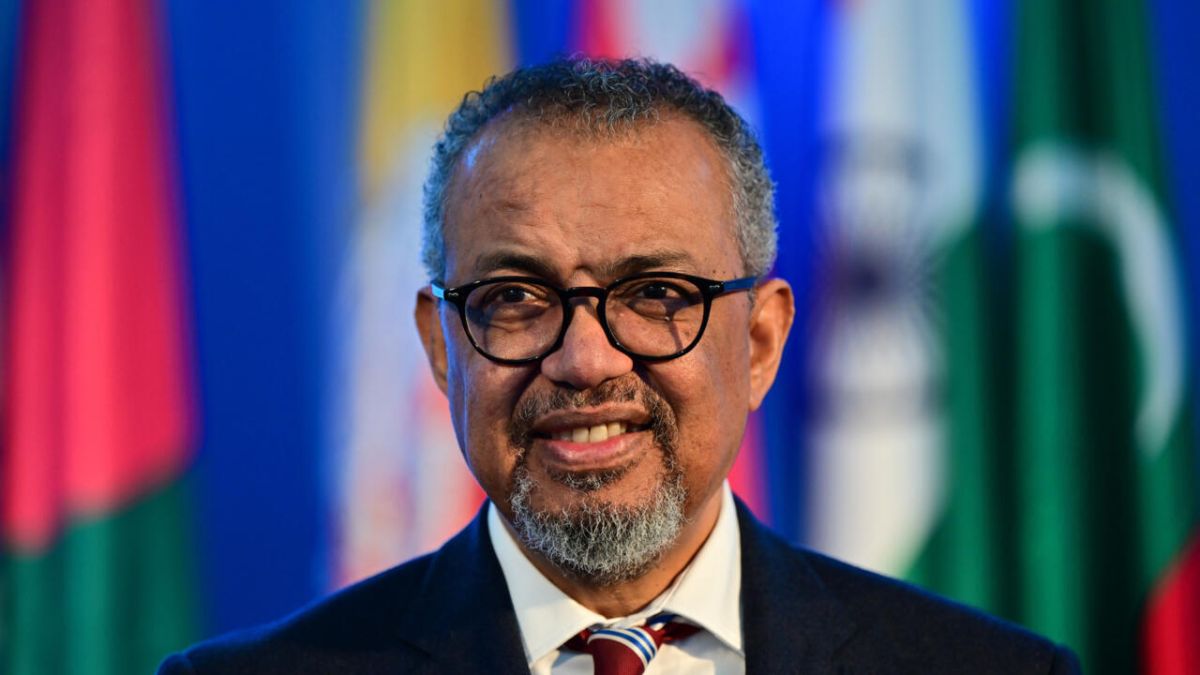 L'OMS mise sur l'IA pour valider les remèdes traditionnels