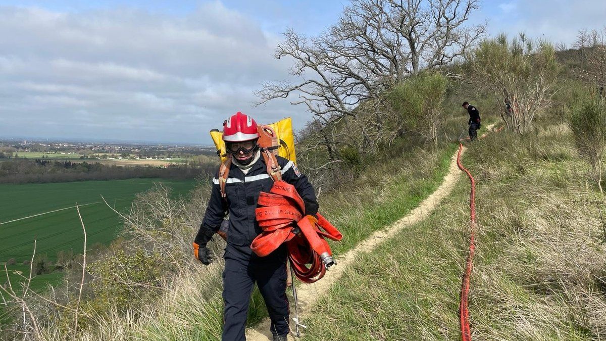Le débroussaillement : une nécessité face à l'alerte incendie