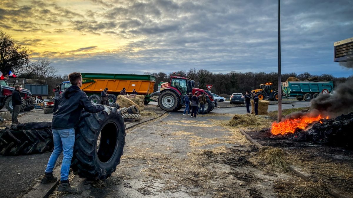 Agriculteurs en colère : blocage de l'A10 pour dénoncer l'abattage sanitaire