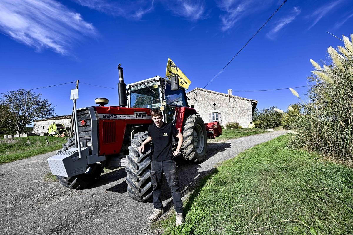 Un jeune agriculteur redonne espoir à sa ferme familiale