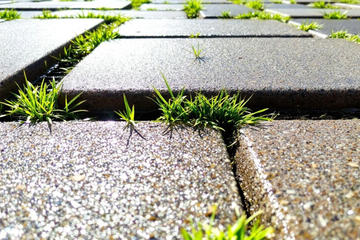 Protégez votre jardin des inondations estivales avec ces solutions ingénieuses