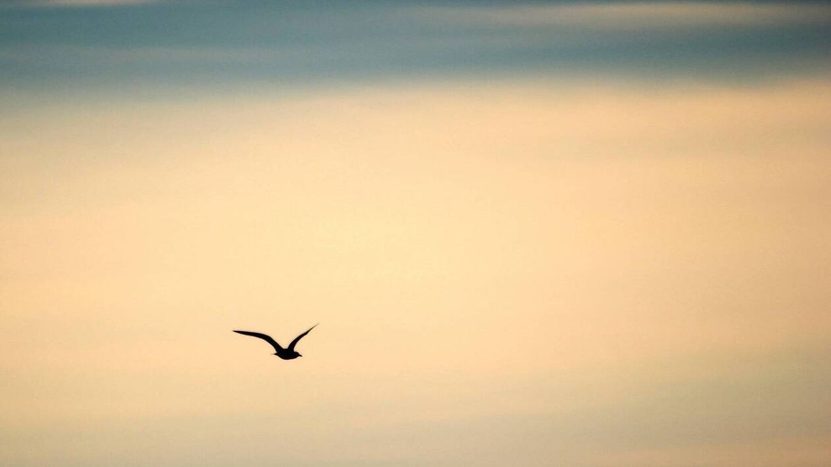 Une météo intrigante s'annonce à Nouméa ce 2 janvier