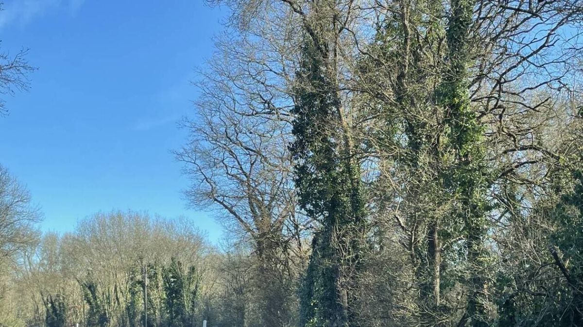 Loire-Atlantique : une hausse alarmante des accidents mortels sur les routes en 2025