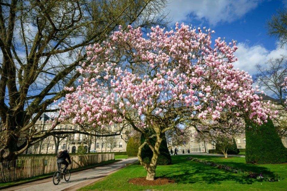 Vers une métropole cyclable : enjeux et défis des mobilités urbaines