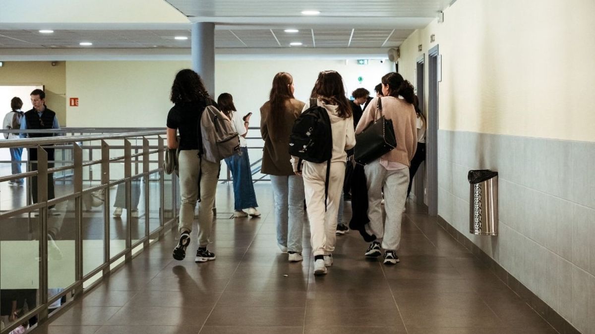 Tragédie à Ille-sur-Têt : une collégienne met fin à ses jours, le harcèlement sous enquête