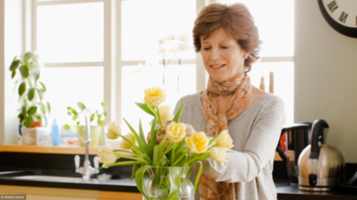 Comprendre la pension de réversion : votre guide pratique