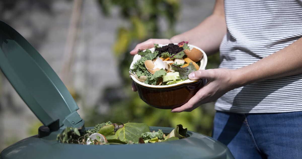 Quand utiliser un activateur de compost ?