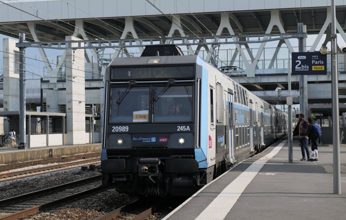 Frayeur sur le RER : un arbre menace la vie du conducteur en Essonne