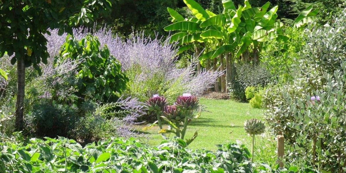 Un écrin pour les fruits comestibles : Le Jardin de Pomone (17)