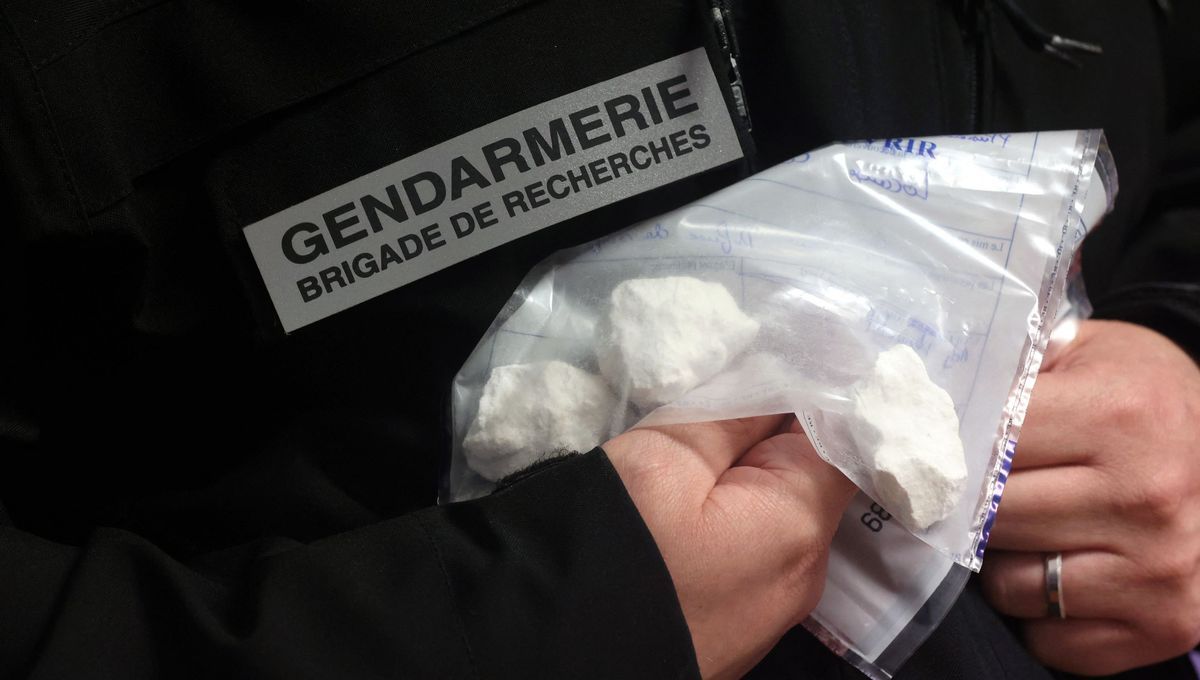 Cocaïne : la France face à une crise sans précédent avec 81 tonnes saisies en 2025