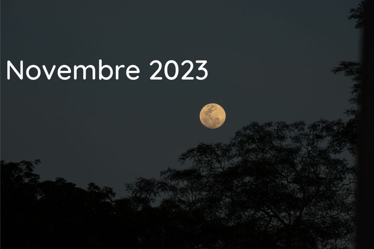 novembre : les secrets lunaires du jardinage révèlent leurs trésors