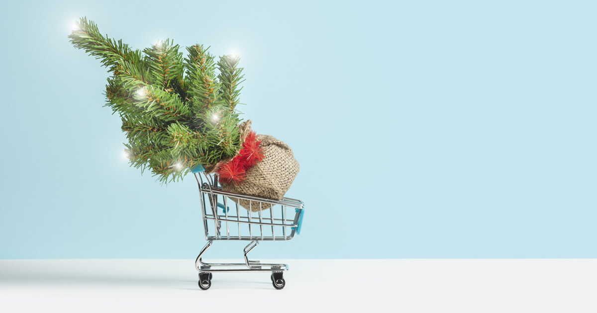 Le guide ultime pour dénicher un sapin de Noël à petit prix