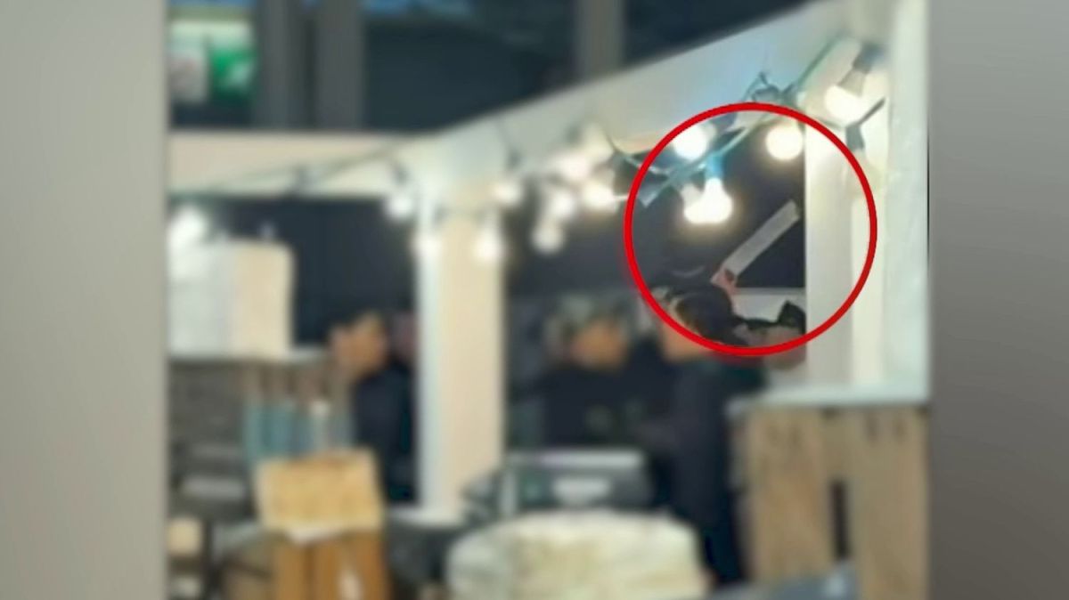 Rixe au Salon de l'agriculture : 15 interpellations et des blessés