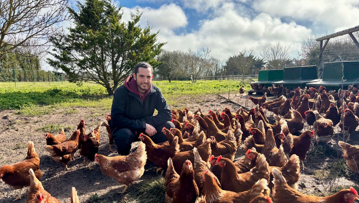 Le poulailler d'Oléron rouvre ses portes : un retour plein d'émotions