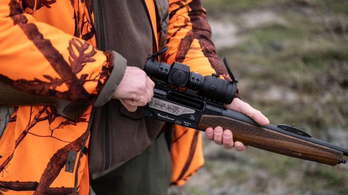 Une battue pour réguler les sangliers en Maine-et-Loire
