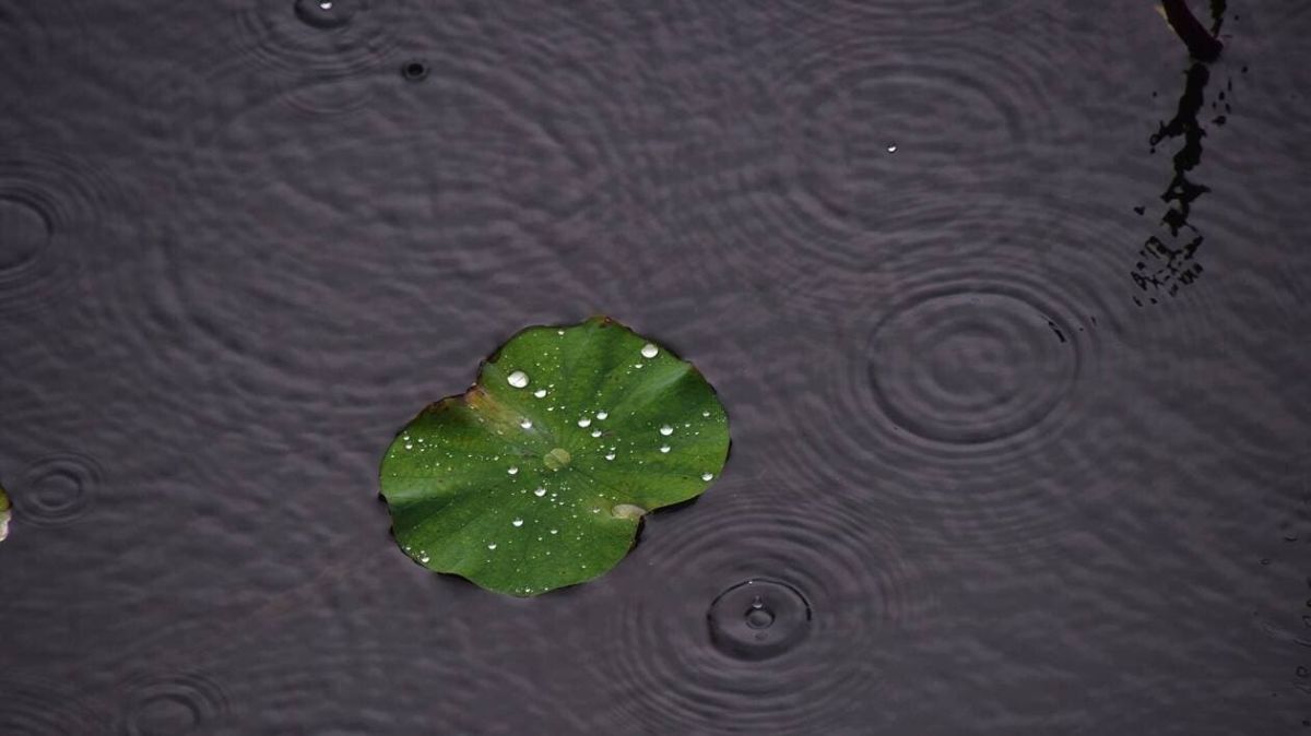 La météo à Nouméa : un lundi humide et nuageux en perspective