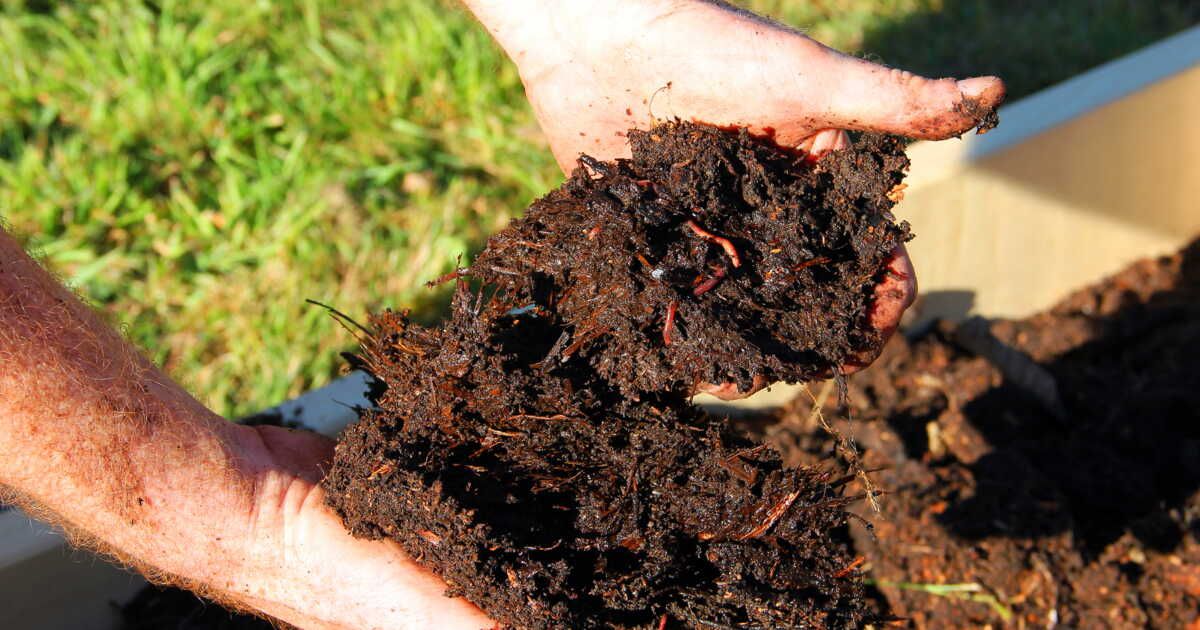 Tout savoir sur le lombricomposteur