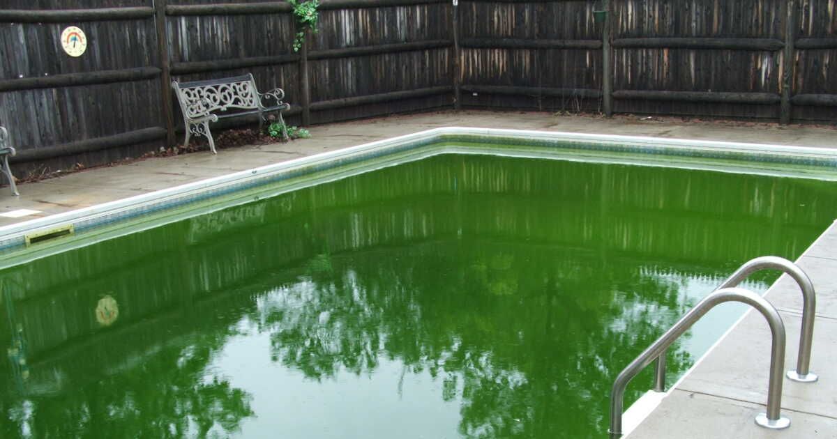 l'eau de ma piscine est verte, que faire pour la nettoyer ?