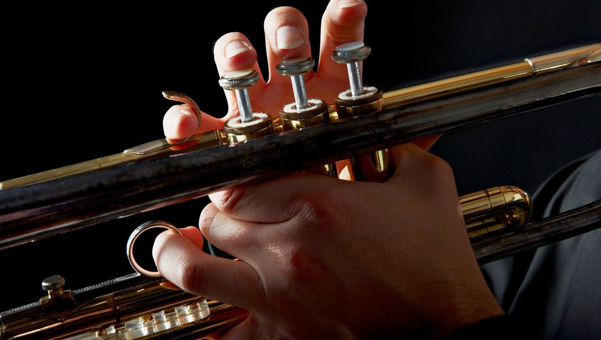 L'harmonie de Saint-Pierre-en-Auge : un souffle collectif entre musique et émotion