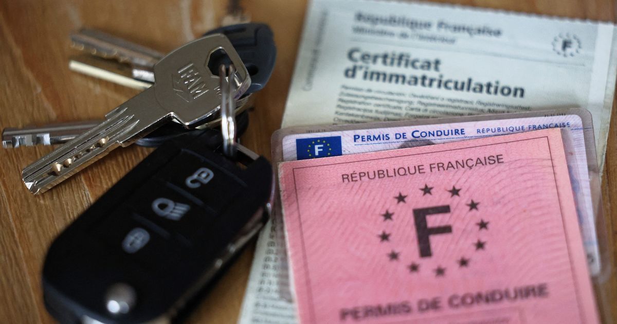 Fraudes massives sur les cartes grises : la Cour des comptes tire la sonnette d'alarme