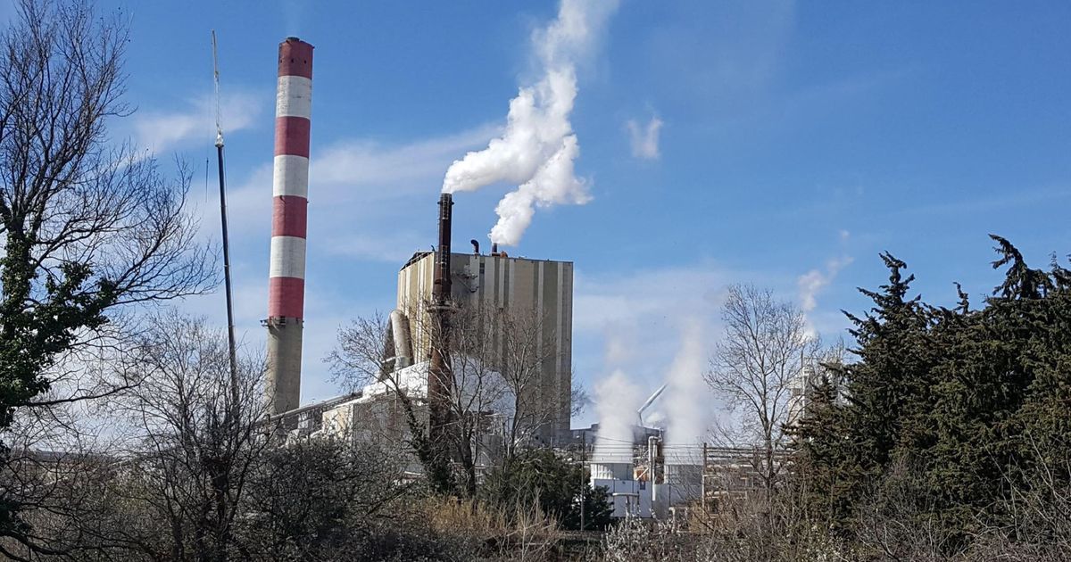 Fibre Excellence à Saint-Gaudens : une pause de production en raison de la pénurie de bois