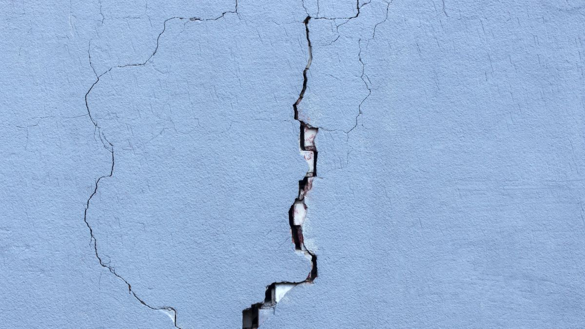 Un séisme de 5,5 magnitudes secoue la Turquie : peur et résilience