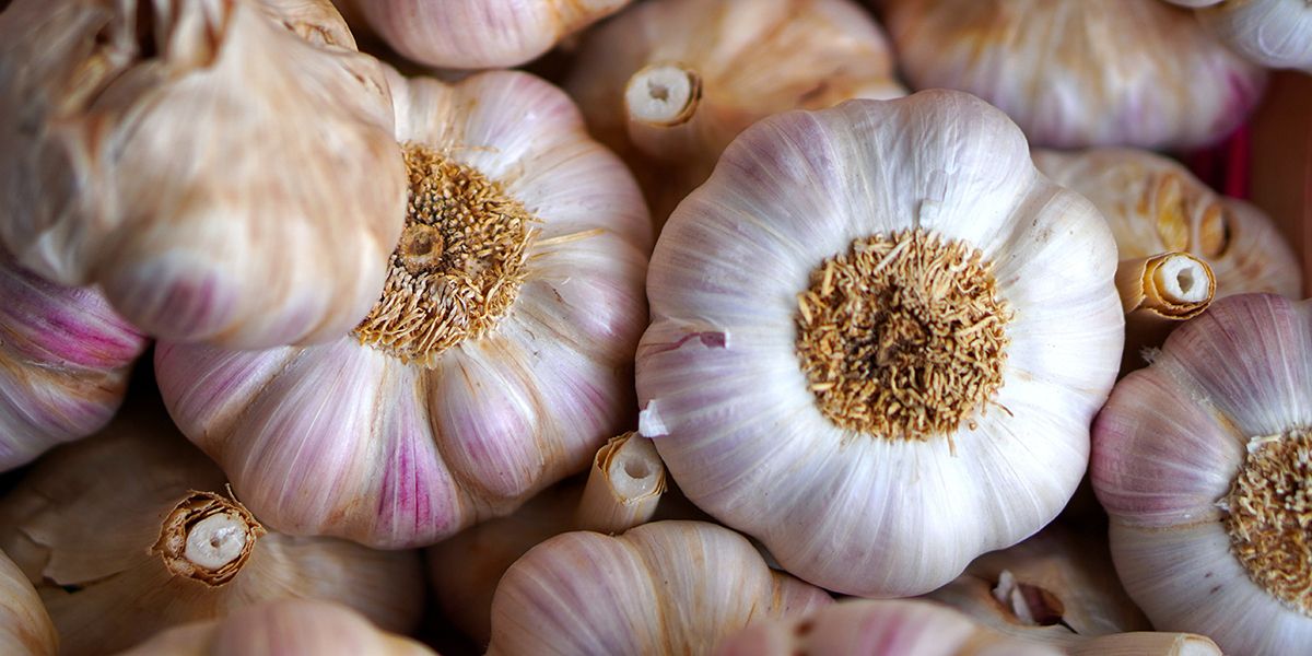 Préserver l'ail : 8 astuces pour une conservation optimale