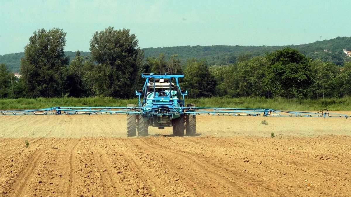 Cancer lié aux pesticides : le témoignage poignant d'un ancien agriculteur