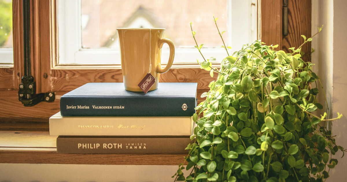 20 plantes idéales pour les jardiniers débutants