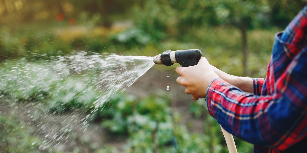 Arrosez votre jardin sans débourser un centime : 7 astuces incontournables