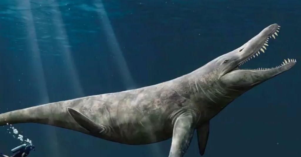 Une vertèbre de pliosaure vieille de 100 millions d'années retrouvée dans l'Aube